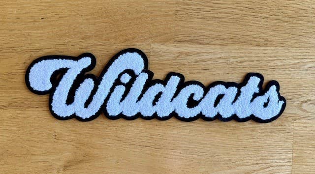 School Mascot Chenille Patches