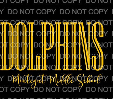 Montegut Middle School Dolphins (Direct To Film)