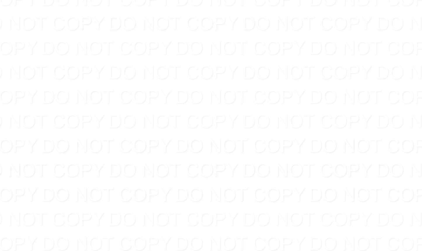 Thibodaux Middle School Half Ball DTF Print
