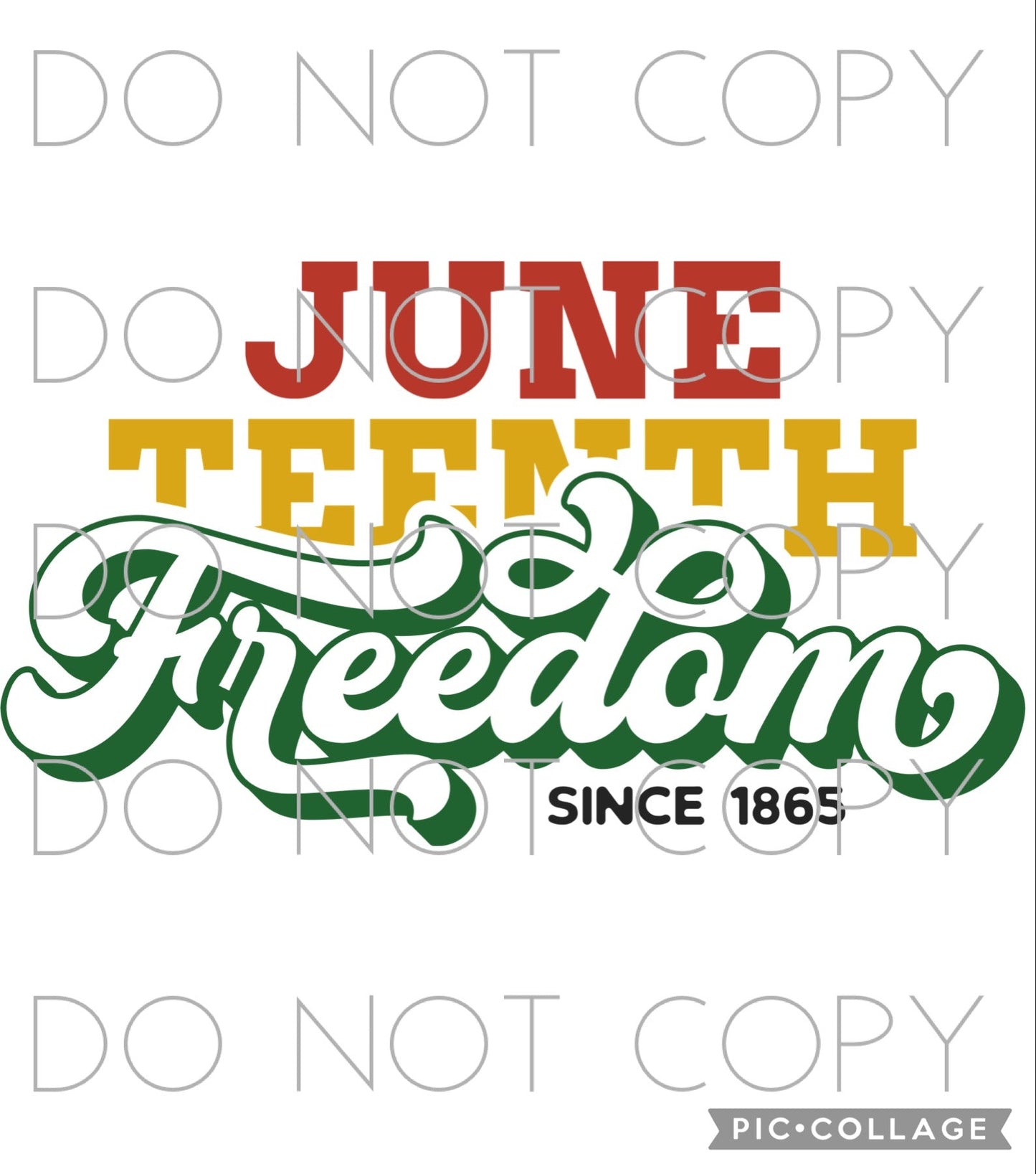 June Teenth Freedom (Direct To Film)