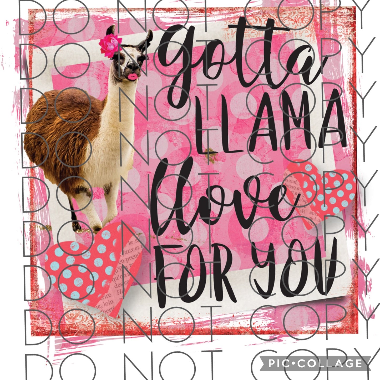 Gotta llama love for you (Direct To Film)