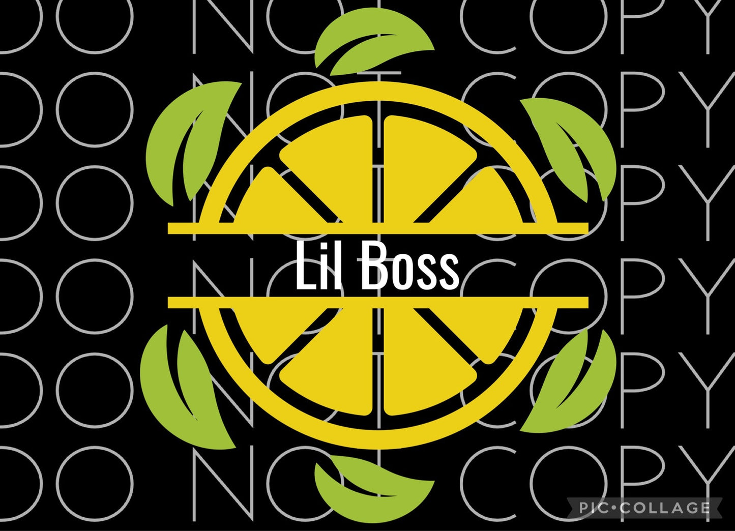 Lil Boss (Direct To Film)