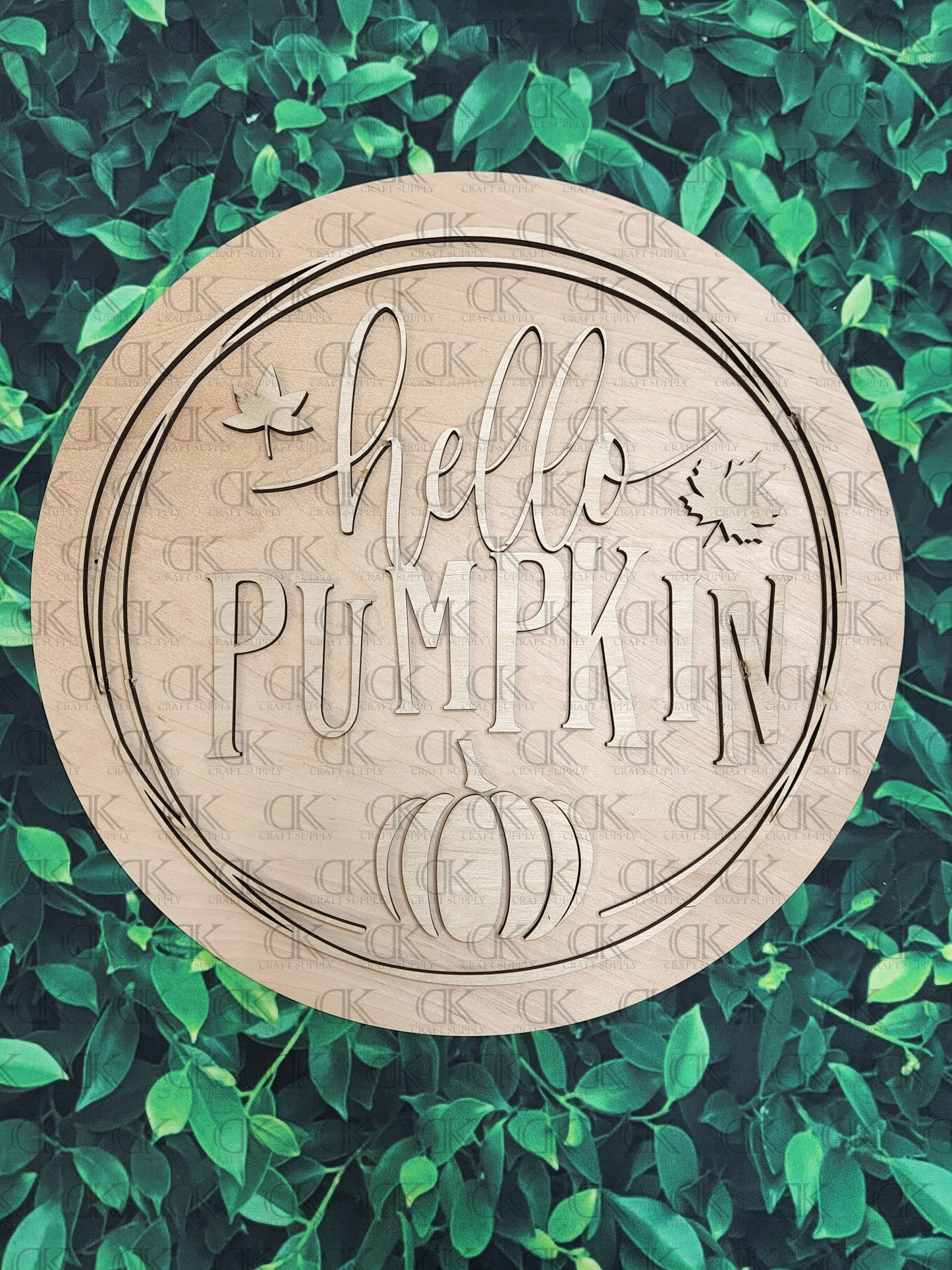 Hello Pumpkin Round 2pc