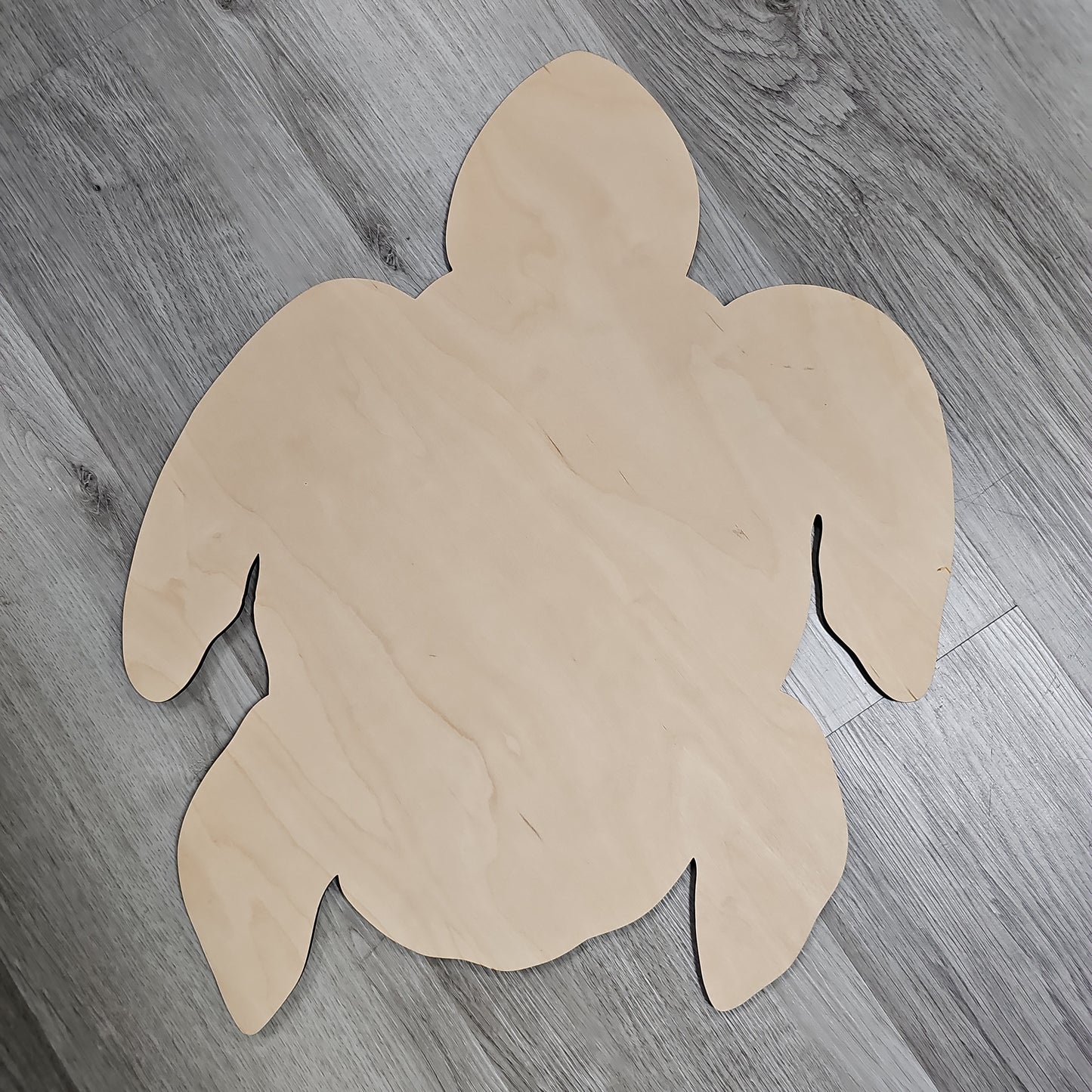 Sea Turtle