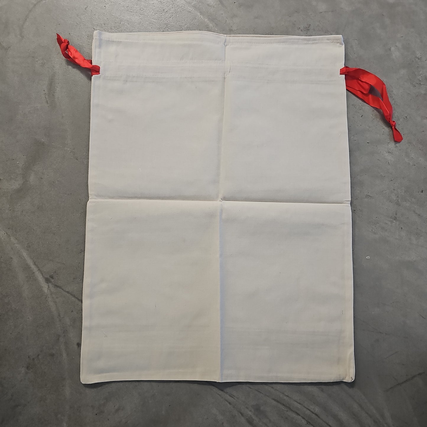 Christmas Blank Gift Bag