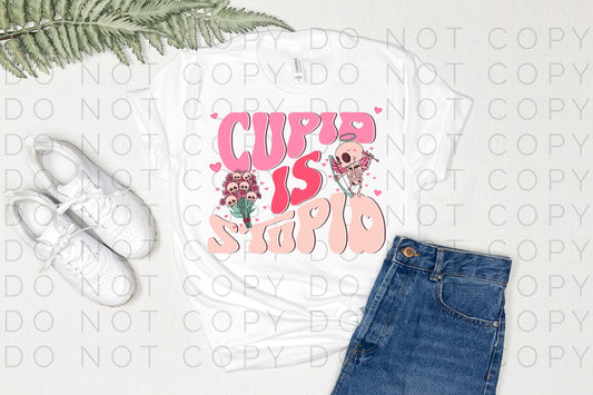 Cupid Is Stupid (Direct To Film)