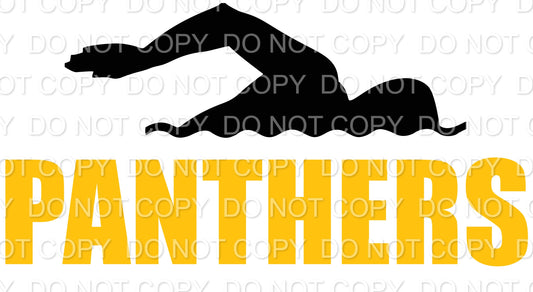 BHS Panthers Swim (Direct To Film)