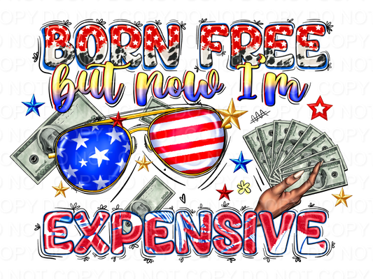 Born Free But Now I'm Expensive - Flag Sunglasses (Direct To Film)
