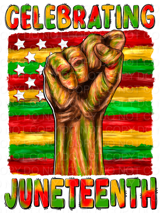 Celebrating Juneteenth (Direct To Film)