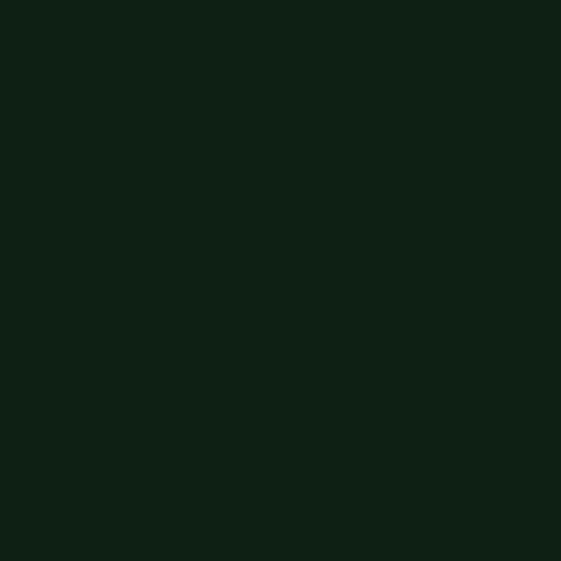 12"x1yd EasyWeed® Siser® HTV