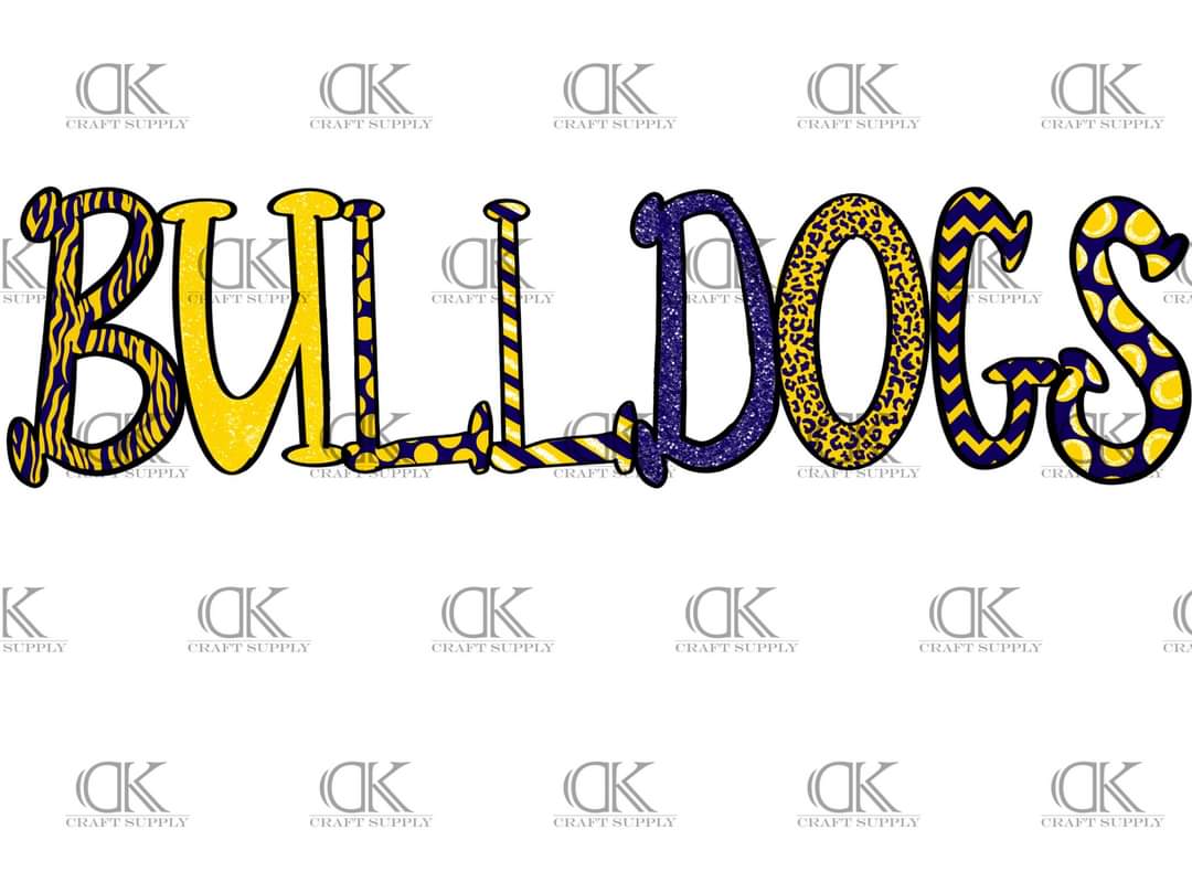 2020 School Football Team Spirit (Direct To Film)