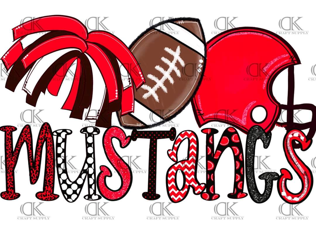 2020 School Football Team Spirit (Direct To Film)