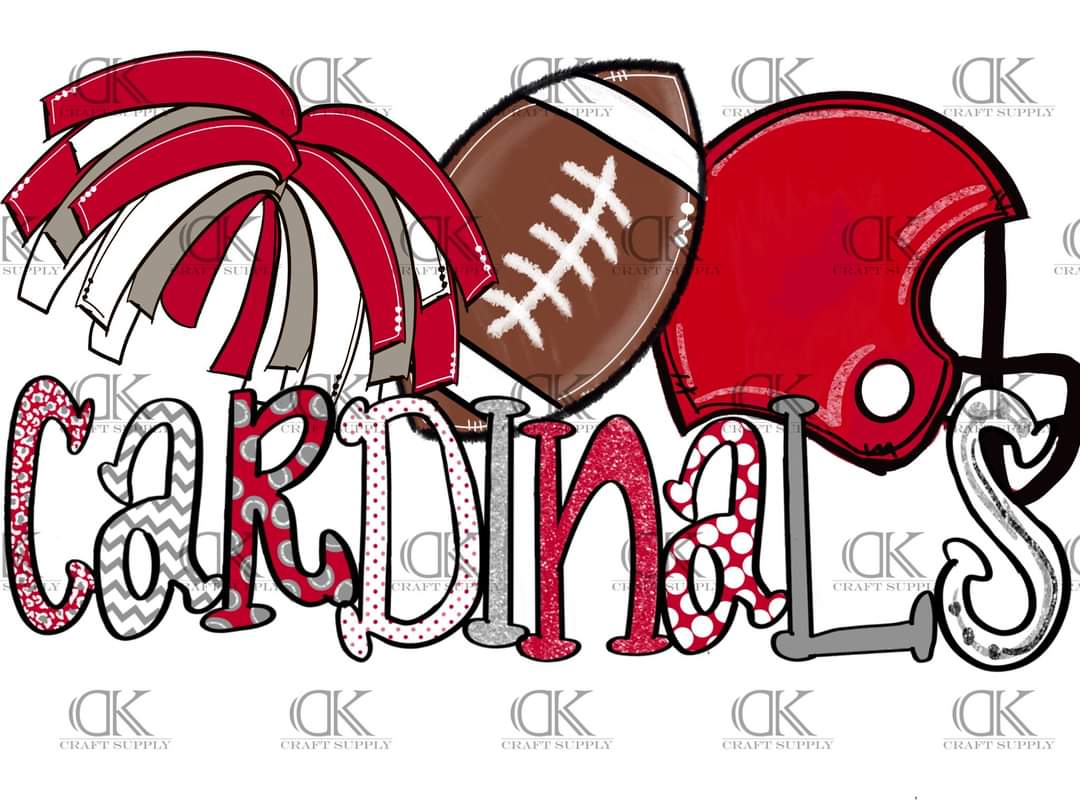 2020 School Football Team Spirit (Direct To Film)