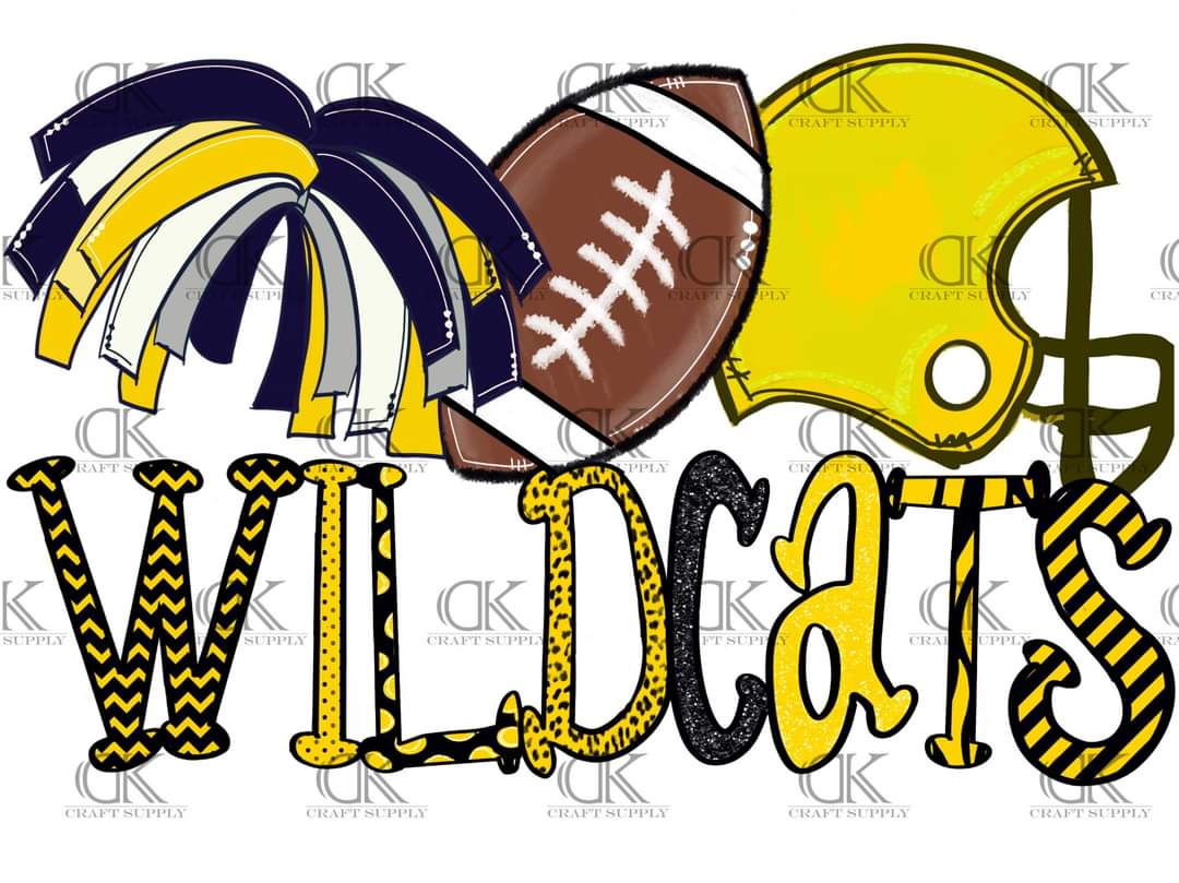 2020 School Football Team Spirit (Direct To Film)