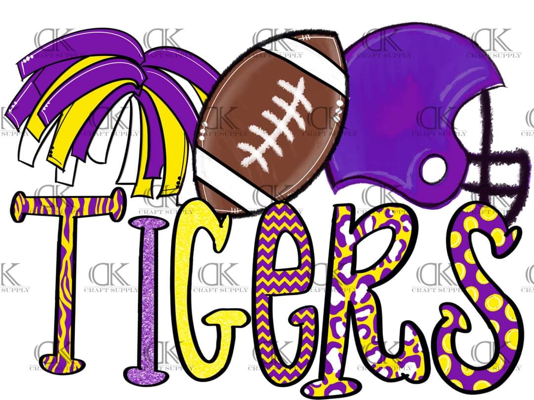 2020 School Football Team Spirit (Direct To Film)