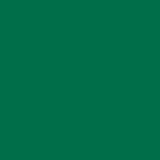 12"x1yd EasyWeed® Siser® HTV