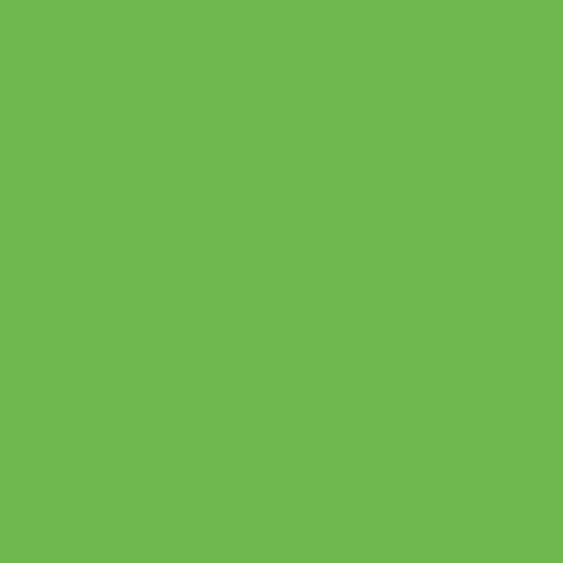 12"x1yd EasyWeed® Siser® HTV