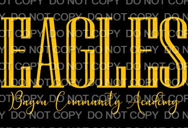 Bayou Community Academy Eagles (Direct To Film)