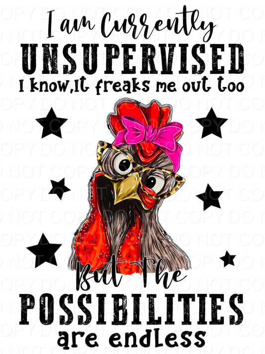 I'm Currently Unsupervised Chicken (Direct To Film)