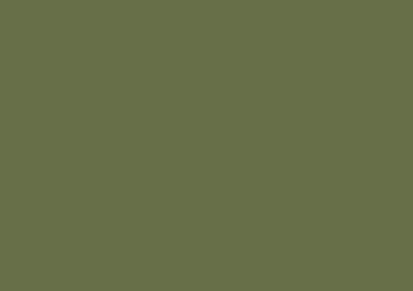 12"x1yd EasyWeed® Siser® HTV