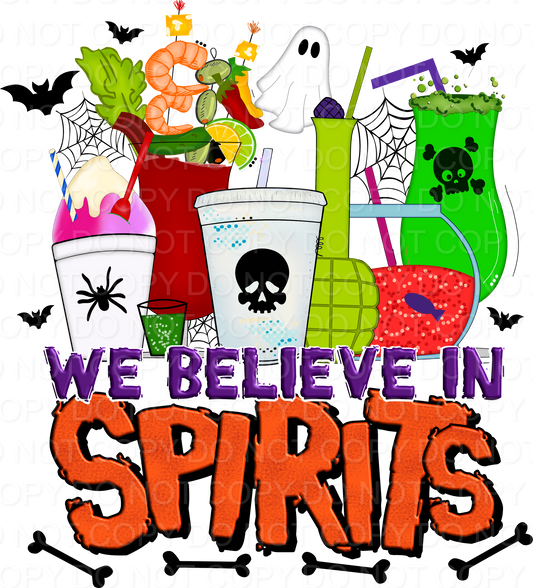 We Believe In Spirits (Direct To Film)