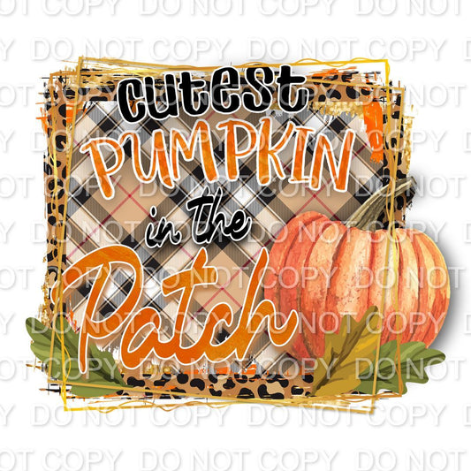 Cutest Pumpkin in the Patch (Direct To Film)