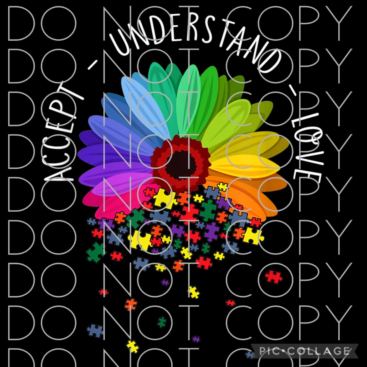 Accept Understand Love (Direct To Film)