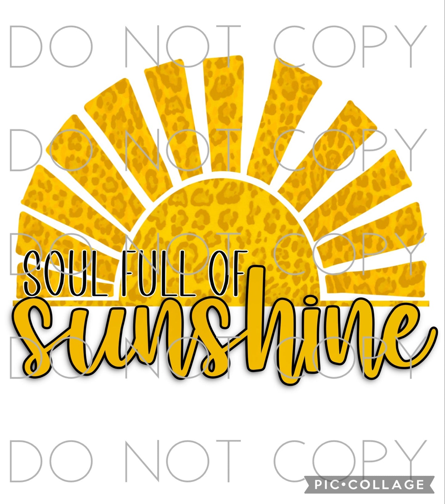 Soul Full of Sunshine (Direct To Film)