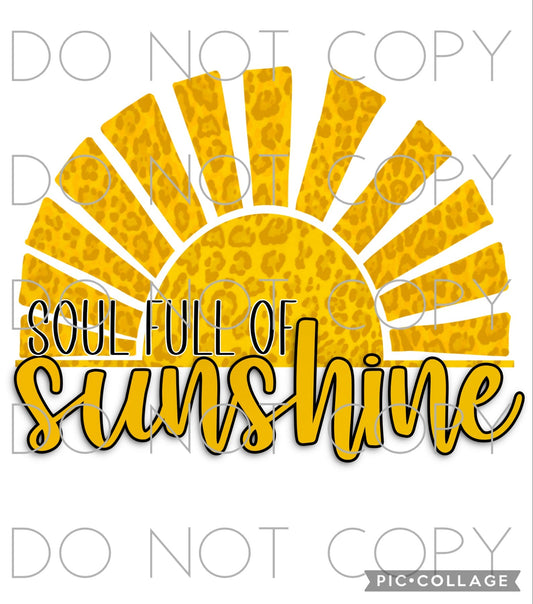 Soul Full of Sunshine (Direct To Film)