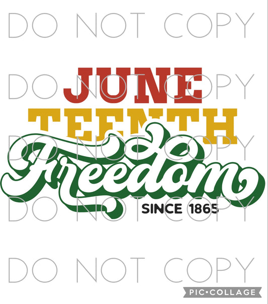 June Teenth Freedom (Direct To Film)