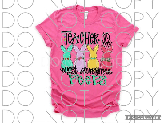Teacher Easter Full Color (Adult)