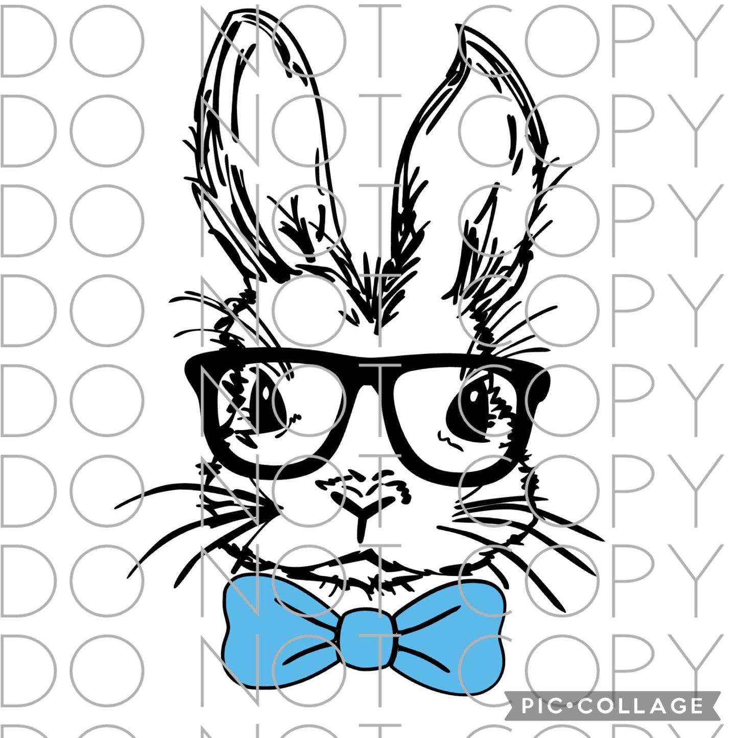 Fancy Boy Bunny with Glasses (Direct To Film)