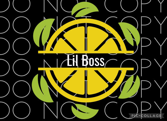 Lil Boss (Direct To Film)