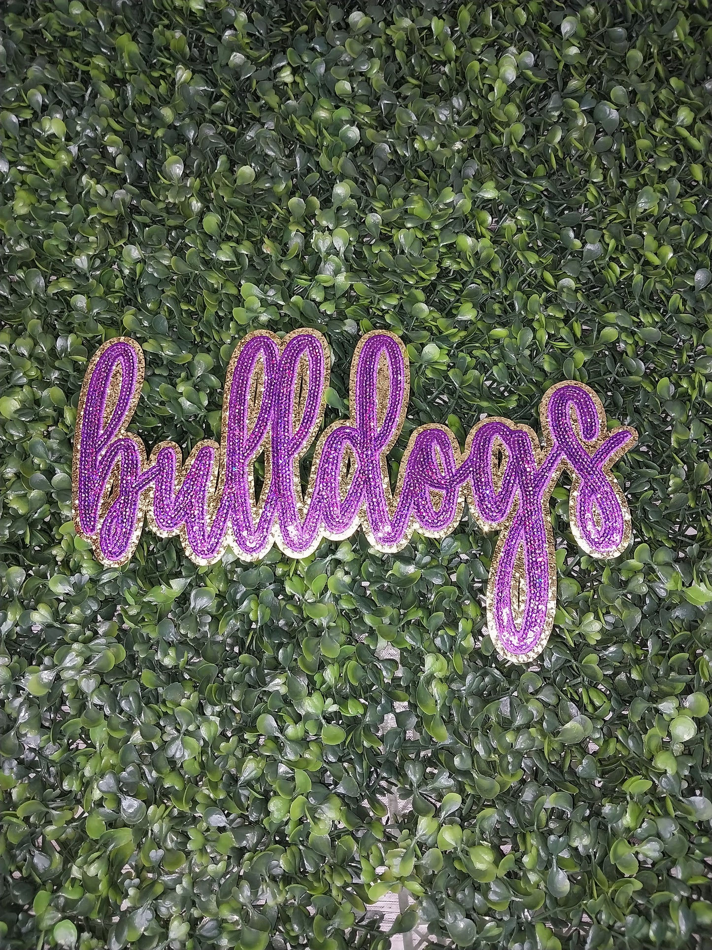 "Team Spirit" Mascot Sequin  Patch
